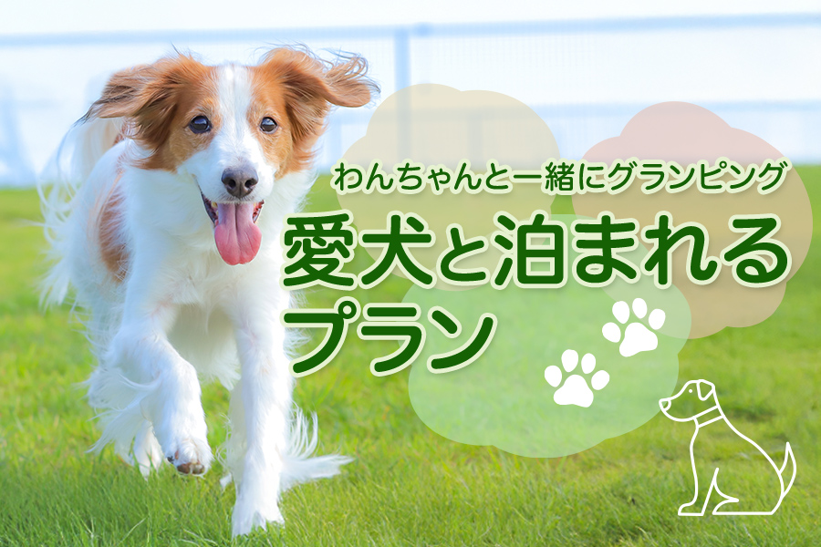 愛犬と泊まれるプラン